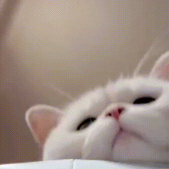 用户封面